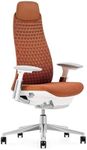 Haworth Fern Executive Office Chair