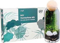 DIY Terrarium Kit with Live Moss Pl