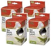 Zilla 4 Pack of Day White Light Inc