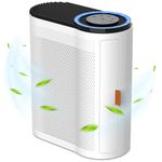 Cadr Rated Air Purifiers