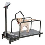 DAMIOO Doggy Treadmill for Large & Medium Dogs - Pet Running Machine