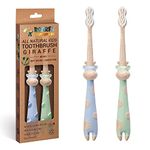 Toothbrushes (Blue/Mint)