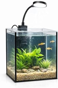 LYPHARD AQUARIUMS Mini Aquarium Set Fish Tank Shrimp Tank Snails Tank Planted Tank 1.2 Gallon Aquarium Kit, Small Desktop Fish Tank for Small Aquatic Pets for Beginner