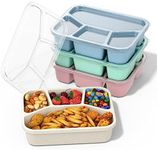 XGXN Bento Box Adult Lunch Box (4 P