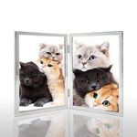 Picture Frames With Stand Double