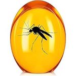 Amber Mosquito Paper Weight Collectible with Dino DNA