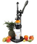 Inexpensive Juicers