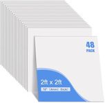 Sasylvia 12 Pcs White Drop Ceiling