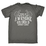 This is What an Awesome Grandad Looks Like (XXL - Charcoal) New Premium Loose FIT Baggy T-Shirt Slogan Funny Clothing Joke Novelty Vintage Retro t s Men's Shirt Tee Tshirt Mens Shirts Quotes Graphic