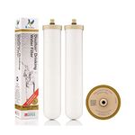 Doulton Water Filter System - 2 x 10" BioTect Ultra Ceramic Undersink & Countertop Tap Filter Cartridge | NSF Certified | M12 Thread | 2501