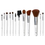 e.l.f. Cosmetics SHANY Cosmetics Lip Brushes