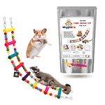 WiggleBoo Pet Flexible Color Ladder Cage Toy | for Small Animal - Sugar Glider, Hamster, Squirrel, Chinchilla, Rat | Playing, Climbing & Chewing | 48cm