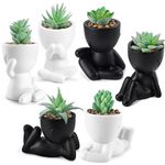 Der Rose 6 Pack Fake Plants Small Artificial Succulents Faux Plants for Aesthetic Room Bathroom Home Office Desk Decor Indoor