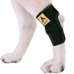 Agon® Dog Leg Braces For Back Leg wrap hock compression protects wounds and helps heal hind legs rear ankle joint, preventing injuries, sprains providing stability for dogs, canine arthritis (X-Small)