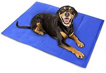 Cool Gel Mats For Dogs