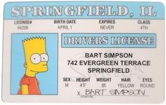 Signs 4 Fun Parody ID | Bart Driver