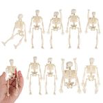 Halloween Mini Skeleton Decorations Full Body, 10 PCS Realistic Halloween Skeleton Figurines with Movable Joints, Halloween Skeleton Ornaments for Haunted House Props Halloween Decorations (6 Inches)