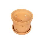 Village Decor Handmade Terracotta Orchid Pot with Bottom Tray|Pack of 1|Height - 6.2 Inch