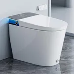 HOROW Artistic Bidet Toilet, Smart 