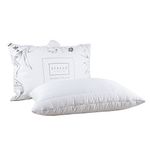 SPREAD SPAIN Bamboo Orthopaedic Bed Pillow Filled with Bamboo Fibres and Memory Foam Fibre, Perfect for Side, Back and Stomach Sleepers (White, 45 x 68 cm)