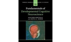 Fundamentals of Developmental Cognitive Neuroscience (Cambridge Fundamentals of Neuroscience in Psychology)