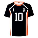 Anime Haikyuu T-Shirt in Clothing for Men, Karasuno High School Volleyball Team Jersey No.4, NO. 10 Tee Top, for Cosplay