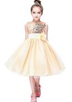 YMING Baby Girl Flower Dress Sequin Princess Tutu Tulle Birthday Party Dress Beige 4-5 Years