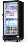 ICEVIVAL 6 Cu.Ft Commercial Refrige