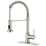 FORIOUS Kitchen Faucets with Spraye
