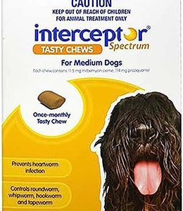 Intercepto