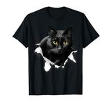 Black Cat Torn Cloth Gifts For Cat Lover, Cat Dad, Cat Mom T-Shirt