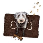 Soggy Doggy Microfiber Chenille Doormat for Wet Dog Paws, 26 x 36 Inch, Large Dark Chocolate/Oatmeal Bone