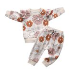 Infant Toddler Baby Girl Clothes Long Sleeve Flower Sweatshirt Pullover Tops Pants 2 Piece Outfit Set Fall Winter Clothing White 9-12 Months