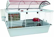 Living World - Deluxe Hybrid Habita