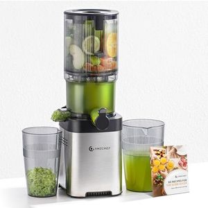 Cold Press Juicer - 4.25 IN Large Feed Chunte Juicer Machine for Whole Fruit - Anti Drip Slow Juicer with Reverse Function - Masticating Juicer with Double-Layer Filter, Quiet Motor, Black