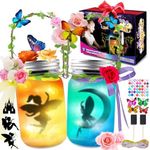 FUNZBO Fairy Lantern Craft Kits - F