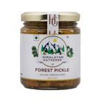 FOREST PICKLE rare product wild and edible vegan