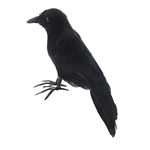 Crows