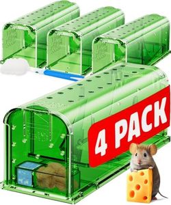 Motel Mous