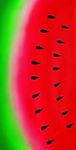 Bahia Collection by Dohler Watermelon Brazilian Velour Beach Towel 30x60 Inches