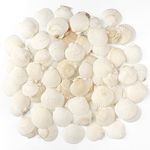 Jangostor 48 PCS Scallop Shells Natural Seashell, 3CM - 5CM White Scallop Shells Small Seashells for Crafts Wedding Decor Beach Theme Party, Fish Tank and Vase Filler