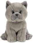 Living Nature Soft Toy - Plush Pet Animal, British Grey Shorthair Kitten (18cm) - Realistic Soft Toys with Educational Fact Tags 18.0 cm