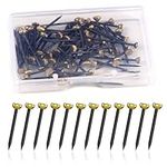 Picture Hanging Nails, 60pcs Wall Picture Pins Brass Head Masonry Pin Nails with Storage Box for Hanging Pictures Photo Frames