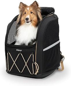 Ibiyaya Champion Large Dog Carrier Backpack - Jet Black