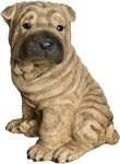 Design Toscano Shar-Pei Puppy Dog Statue, Multicolored