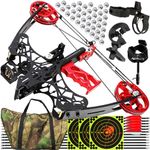 ZSHJGJR Archery Compound bow Set Bow and Arrow Set, 45lbs Mini Compoundbow Set for Steel Balls and Arrows, Compound bow for Adult Beginner Hunting RH&LH Mini Bow (Set 2)