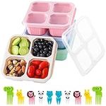 4 Pack Snack Containers,Divided Bento Lunch Box with Transparent Lids, Reusable Meal Prep Lunch Containers for Kids and Adults,No BPA, 4 Compartment Food Storage Containers for School Work Travel