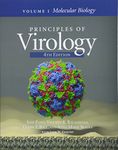 Principles of Virology: Volume 1: Molecular Biology (ASM Books)