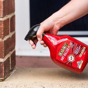 Deadfast Ant Killer Plus Spray – 750ml Insect Control