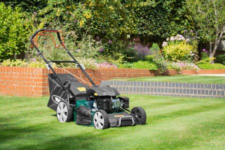 Webb 20" Self-Propelled Petrol Lawnmower – 173cc, 7 Heights, 65L Bag